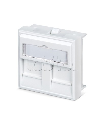 Вставка 45x45 (аналог Mosaic) для 2 модулей формата Keystone Jack Cabeus FP-45-2M в Вологде Модули Keystone Pintop.ru