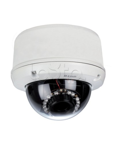 IP-камера видеонаблюдения уличная купольная D-Link DCS-6510/EP в Вологде IP-камеры Pintop.ru